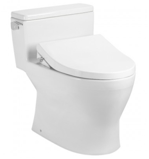 Bàn cầu 1 khối CW166RB - TCF34320GAA -T53P100VR