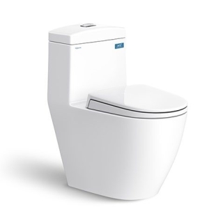 Bàn cầu một khối V199