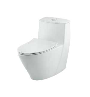 Bồn cầu INAX AC-919VRN