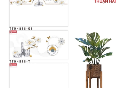 Kinh nghiệm chọn gạch ốp tường cho phòng khách